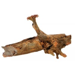 AQUAEL Korzeń Mangro M