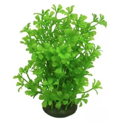 AQUAEL Roślina Kępkowa  Cp-057 6 (15 cm)