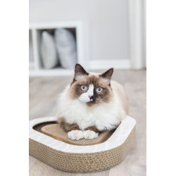 TRIXIE Drapak kartonowy trójkątny z 2 piłkami 36 x 5 x 36 cm