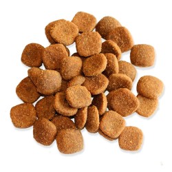 FITMIN Dog For Life Adult Large Breed 3kg