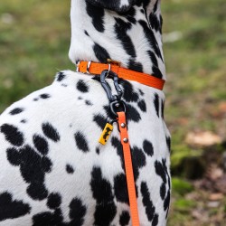 DINGO Smycz Treningowa z rączką Flex Honey - żółta 3 m