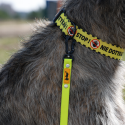 DINGO Smycz Treningowa z rączką Flex  - żółta 2 cm x 5 m