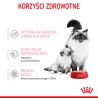 ROYAL CANIN Babycat Instinctive Mousse karma mokra – mus dla kociąt od odsadzenia do 4 miesiąca życia 6x 195g
