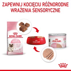 ROYAL CANIN Babycat Instinctive Mousse karma mokra – mus dla kociąt od odsadzenia do 4 miesiąca życia 6x 195g