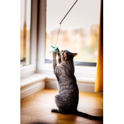 ZOLUX Zabawka dla kota wędka KALI piłka - zielony