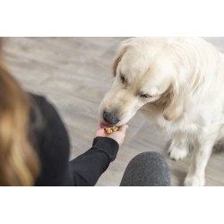 TRIXIE Mata do pieczenia przekąsek w kości 38 x 28 cm