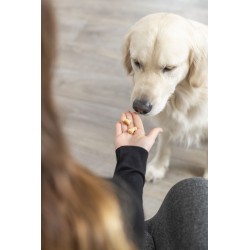 TRIXIE Mata do pieczenia przekąsek w kości 38 x 28 cm