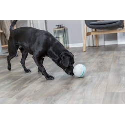 TRIXIE Kula na przysmaki z TPR ø 11 cm - szary