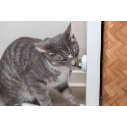 TRIXIE Kulka z kocimiętki z uchwytem do przyklejania 5 cm