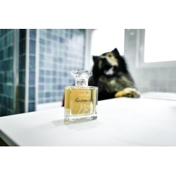 FRANCODEX Perfumy Gourmandise - waniliowe 50ml