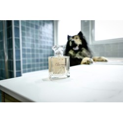 FRANCODEX Perfumy Charmant - drzewne 50ml