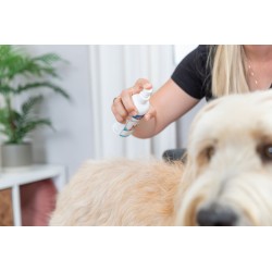 TRIXIE Antyfilc - spray do rozczesywania sierści 175ml