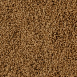 SERA Granulat Discus Color Red 100 ml - pokarm dla pielęgnic