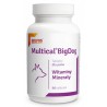 DOLFOS Multical BigDog 90tabl.