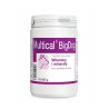 DOLFOS Multical BigDog 90tabl.