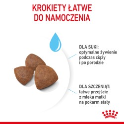 ROYAL CANIN Medium Starter Mother&Babydog karma sucha dla suk w ciąży, w okresie laktacji i szczeniąt ras średnich 2x 15kg