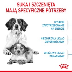 ROYAL CANIN Medium Starter Mother&Babydog karma sucha dla suk w ciąży, w okresie laktacji i szczeniąt ras średnich 4 kg