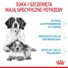 ROYAL CANIN Medium Starter Mother&Babydog karma sucha dla suk w ciąży, w okresie laktacji i szczeniąt ras średnich 4 kg