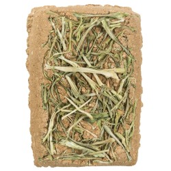 TRIXIE Kamień gliniany z pietruszką 100 g