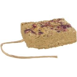TRIXIE Kamień gliniany z kwiatami 100 g