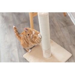 TRIXIE Batres Drapak stojący dla kota 62 cm - beżowy