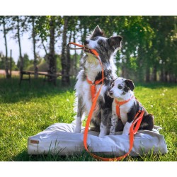 AMIPLAY Szelki regulowane Samba Step-in - Pomarańczowy XL