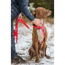 AMIPLAY Szelki regulowane Samba Step-in - Żółty M