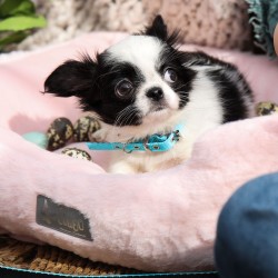 DINGO HugMe Legowisko 50 x 40 x 15 cm - różowe