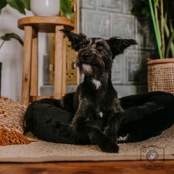 DINGO HugMe Legowisko 50 x 40 x 15 cm - czarne