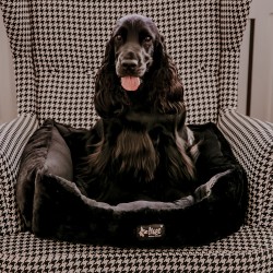 DINGO HugMe Legowisko 62 x 50 x 18 cm - czarne