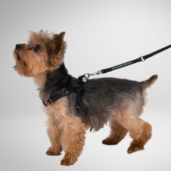 DINGO Szelki skórzane dla Yorka "New York" - Czarne