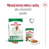ROYAL CANIN Mini Adult karma sucha dla psów dorosłych, ras małych 8kg