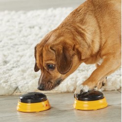 HUNGER FOR WORDS Talking Pet Next Words Names - Imiona