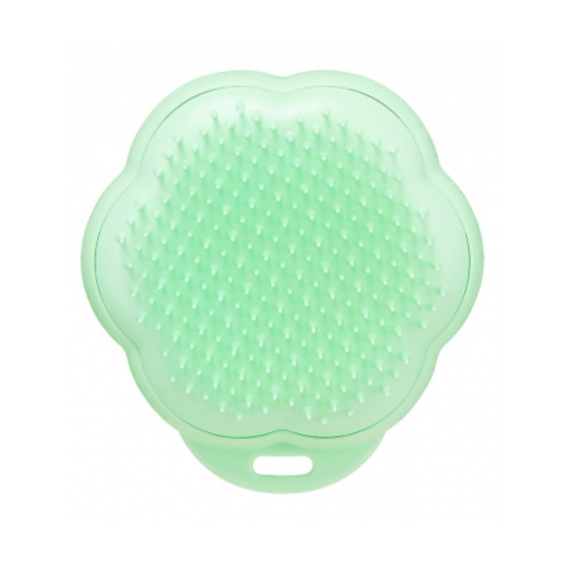 PET TEEZER CAT Szczotka dla kotów