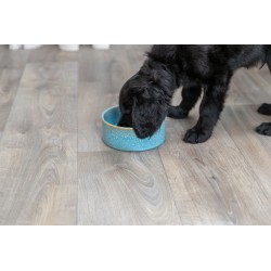 TRIXIE Miska ceramiczna dla psa - brązowy 0,9l