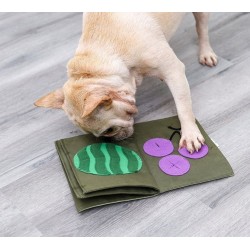 DOGLEMI Zabawka węchowa KSIĄŻKA