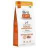 BRIT CARE Dog Hypoallergenic Adult Medium Lamb 12kg + 2kg GRATIS