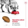ROYAL CANIN Maxi Adult karma sucha dla psów dorosłych, do 5 roku życia, ras dużych 4 kg