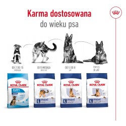 ROYAL CANIN Maxi Adult karma sucha dla psów dorosłych, do 5 roku życia, ras dużych 10 kg