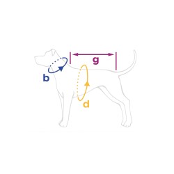 AMIPLAY Bled Płaszcz - Pomarańczowy 32 cm