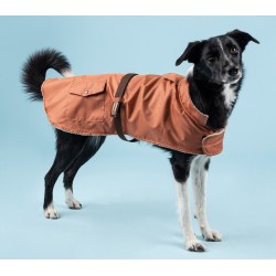 AMIPLAY Bled Płaszcz - Pomarańczowy 32 cm