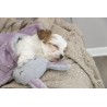 TRIXIE Junior koc z królikiem dla szczeniąt/kociąt z pluszu 55 x 40 cm - jasno liliowy/jasnoszary