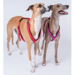 AMIPLAY Reflective Szelki regulowane Guard - Czerwony M