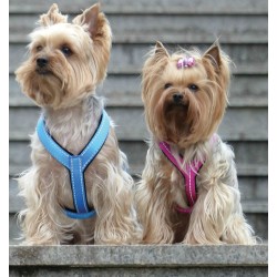 AMIPLAY Reflective Szelki regulowane Guard - Czarny L