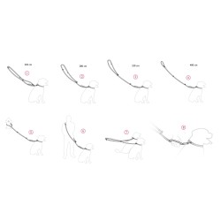 AMIPLAY BeHappy Smycz regulowana 8 in 1 - Jungle XL