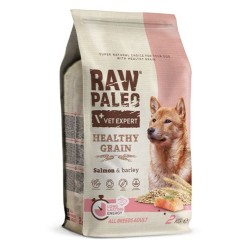 RAW PALEO Healthy Grain Salmon and Barley Adult 2kg