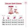 ROYAL CANIN Medium Adult karma sucha dla psów dorosłych, ras średnich, do 7 roku życia 15 kg