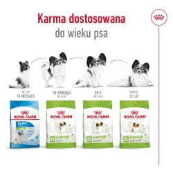 ROYAL CANIN X-Small Adult karma sucha dla psów dorosłych ras miniaturowych 3 kg