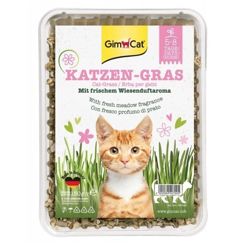 GIMCAT Katzen-Gras trawa dla kotów 150g