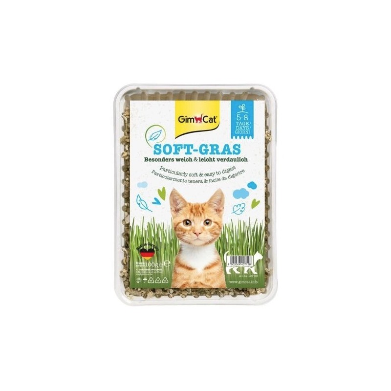 GIMCAT Soft Gras Miękka trawa dla kotów 100g